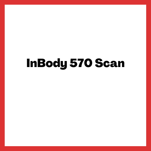 InBody 570 Scan